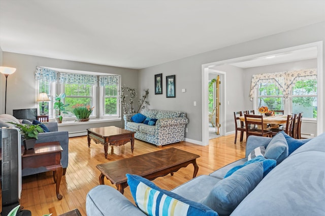 25 Sweetbrier Way, Laconia, NH 03246 - living area featuring plenty of natural light and light wood-style floors
