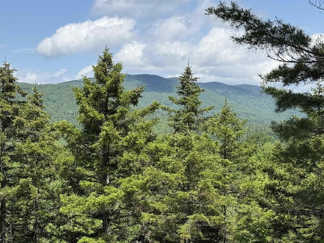 LOT15 Kelly Way, Campton, NH 03223