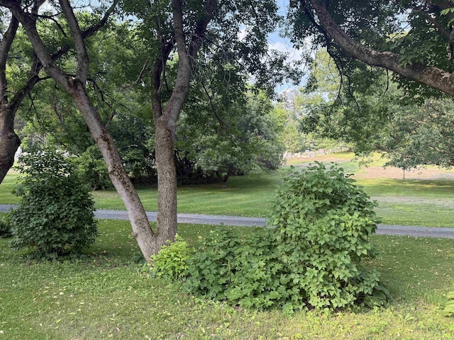 60 S St S, Proctor, VT 05763 - view of grassy yard