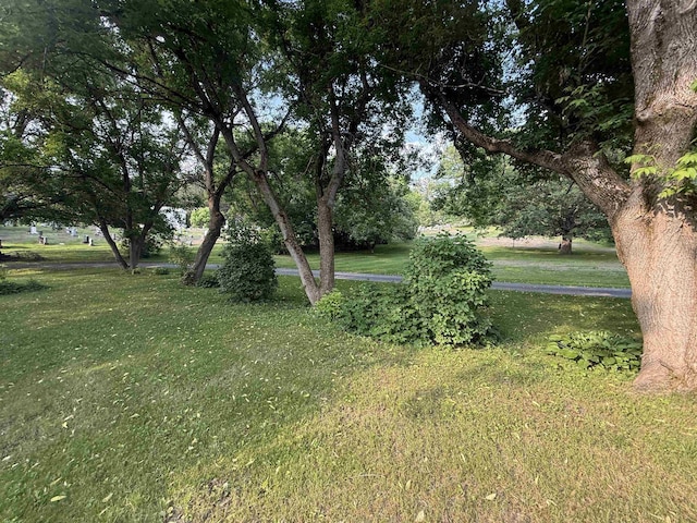 60 S St S, Proctor, VT 05763 - view of green lawn