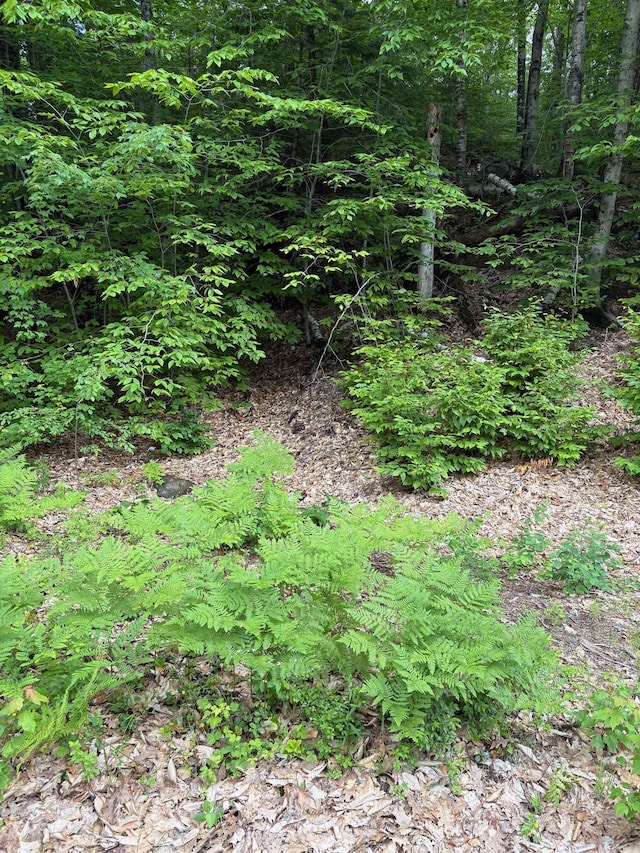 00 River St, Ashland, NH 03217