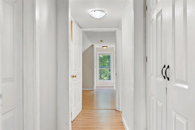91 Robert Ln, Plainfield, VT 05667 - hallway featuring light wood finished floors and baseboards