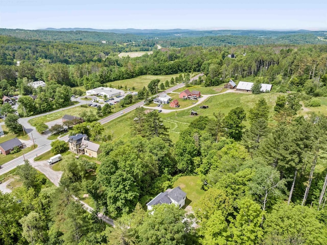 91 Robert Ln, Plainfield, VT 05667 - view of property location featuring a heavily wooded area