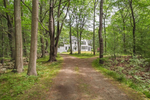 4 Fairbourne Ln, York, ME 03902 - view of front of property featuring dirt driveway and a forest view