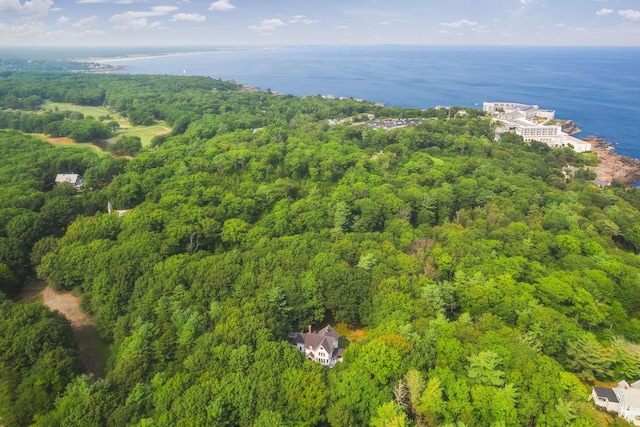 4 Fairbourne Ln, York, ME 03902 - aerial view of property and surrounding area featuring a forest and a large body of water