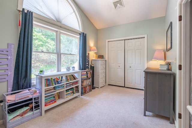 19 Village Falls Way, Merrimack, NH 03054 - rec room featuring lofted ceiling and light carpet