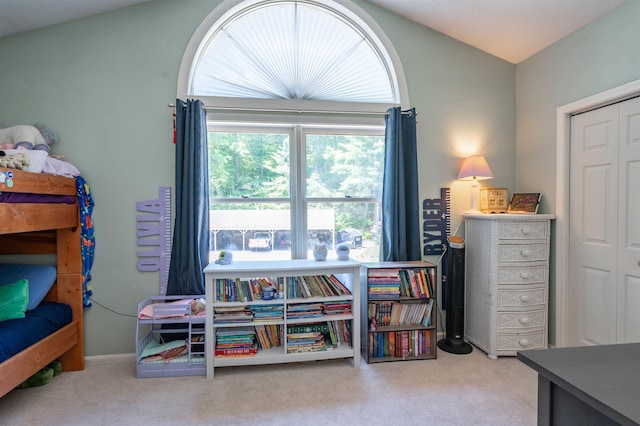 19 Village Falls Way, Merrimack, NH 03054 - carpeted bedroom featuring vaulted ceiling and a closet