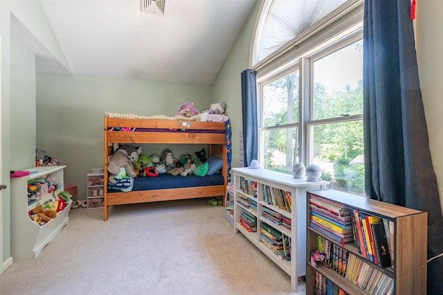 19 Village Falls Way, Merrimack, NH 03054 - carpeted bedroom with lofted ceiling