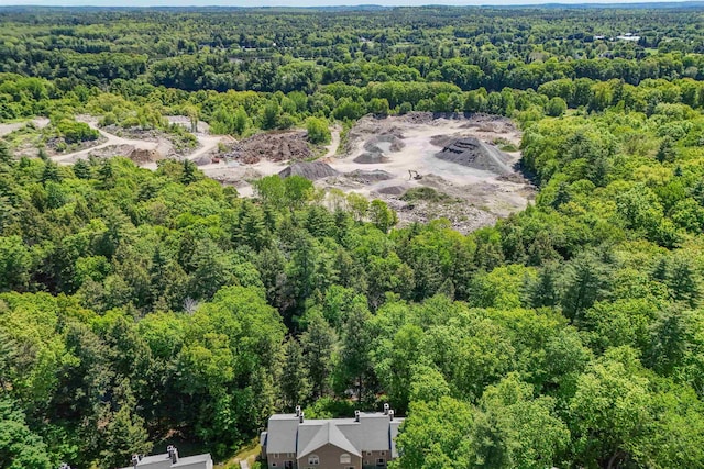 19 Village Falls Way, Merrimack, NH 03054 - bird's eye view of a heavily wooded area