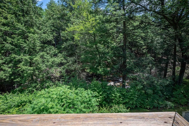 19 Village Falls Way, Merrimack, NH 03054 - view of tree filled area