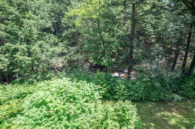 19 Village Falls Way, Merrimack, NH 03054 - view of tree filled area