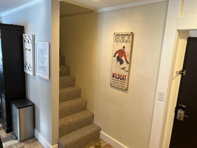3 River Run Dr Unit A, Bartlett, NH 03812 - stairway with wood finished floors and ornamental molding