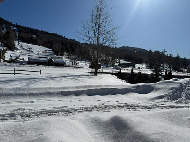3 River Run Dr Unit A, Bartlett, NH 03812 - view of yard layered in snow