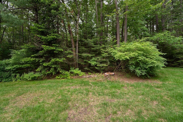 126 Flintlock Vlg Unit 3, Wells, ME 04090 - view of yard featuring a forest view