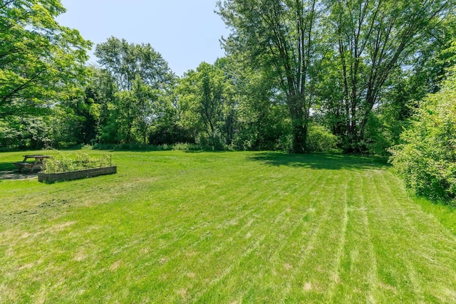 123 S Lincoln St, Keene, NH 03431 - view of green lawn
