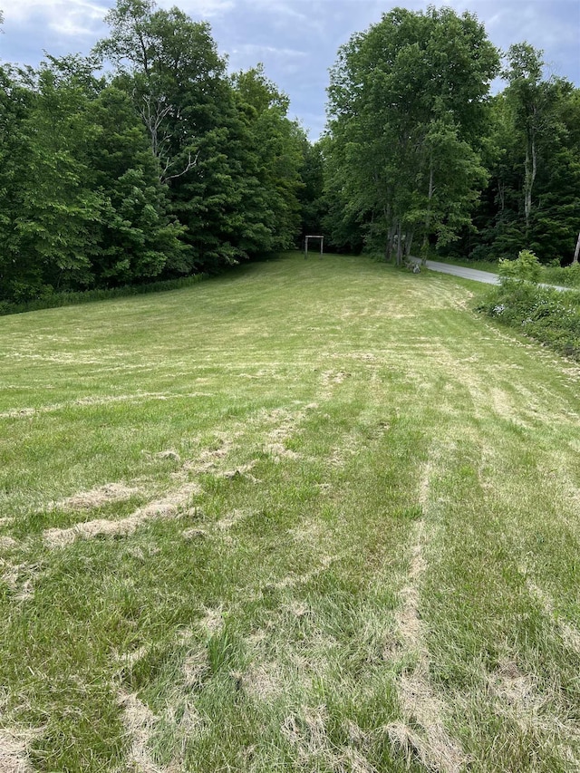 249 Ward Rd, Poultney, VT 05764 - view of grassy yard featuring a forest view