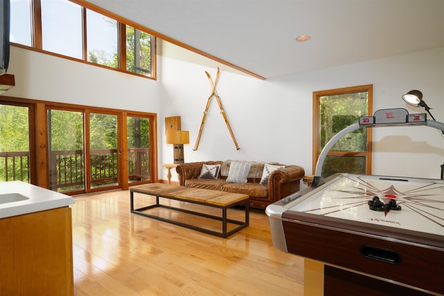 25 Benson Fuller Rd, Winhall, VT 05340 - rec room with french doors, light wood finished floors, and a high ceiling