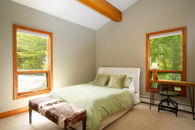 25 Benson Fuller Rd, Winhall, VT 05340 - carpeted bedroom featuring baseboard heating