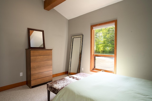 25 Benson Fuller Rd, Winhall, VT 05340 - bedroom with light carpet and baseboards