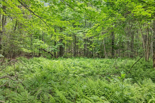 00000 Severance Rd, Laconia, NH 03246