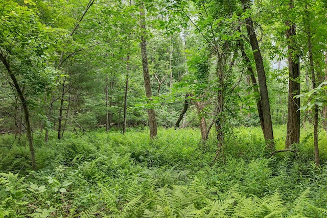 00000 Severance Rd, Laconia, NH 03246