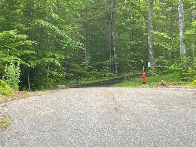12 Peaked Hill Rd, Ashland, NH 03217