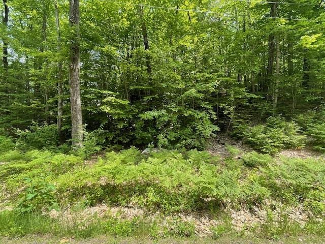 12 Peaked Hill Rd, Ashland, NH 03217