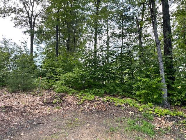 12 Peaked Hill Rd, Ashland, NH 03217