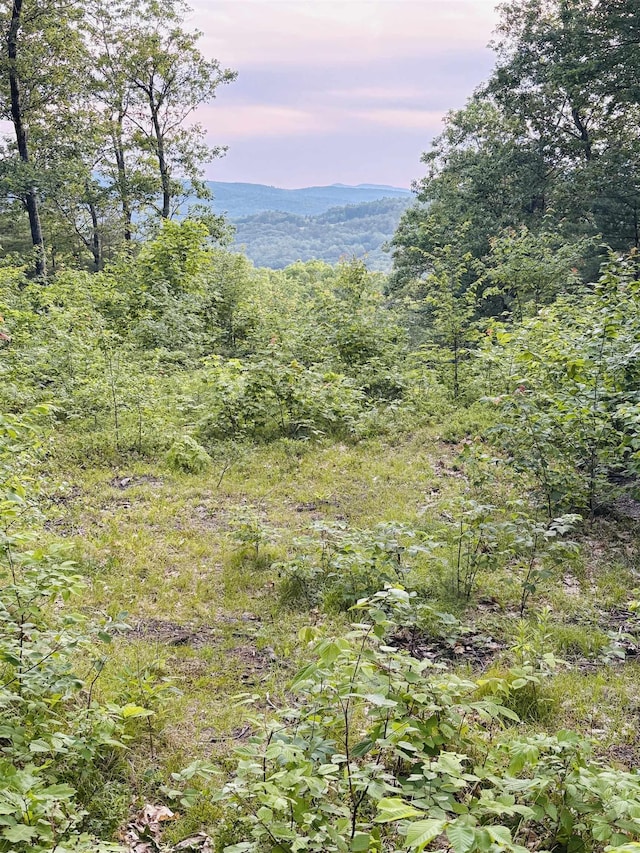 12 Peaked Hill Rd, Ashland, NH 03217