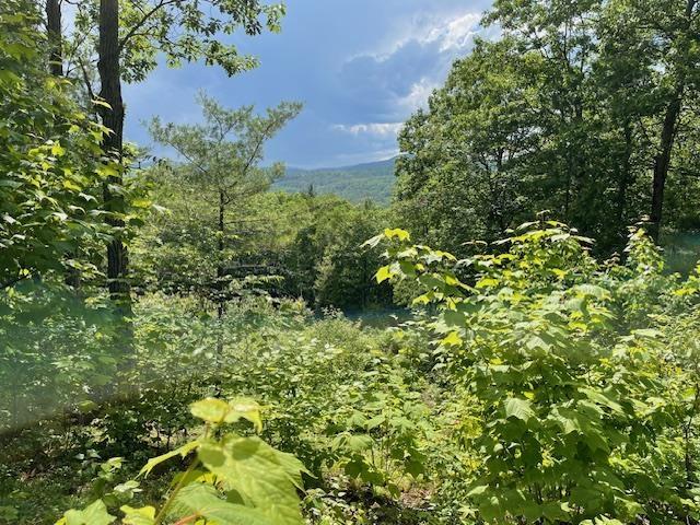 12 Peaked Hill Rd, Ashland, NH 03217