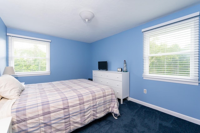 153 Mudgett Hill Rd, Loudon, NH 03307 - bedroom with multiple windows and carpet floors