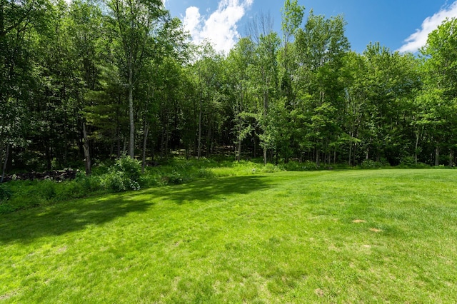 153 Mudgett Hill Rd, Loudon, NH 03307 - view of grassy yard featuring a view of trees