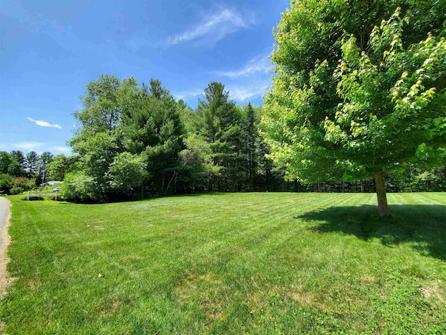 381 Cross Ave Unit 9, 10, Saint Johnsbury, VT 05819 - view of green lawn