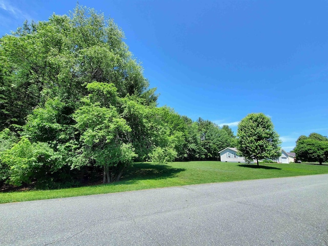 381 Cross Ave Unit 9, 10, Saint Johnsbury, VT 05819 - view of street