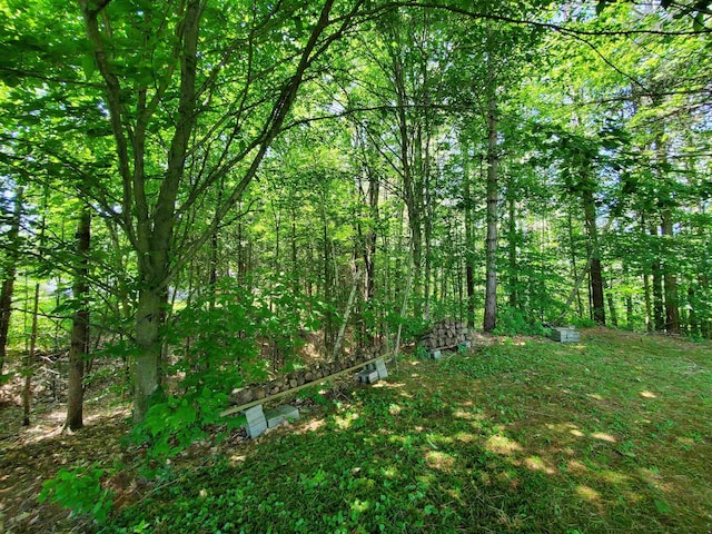 381 Cross Ave Unit 9, 10, Saint Johnsbury, VT 05819 - view of woods