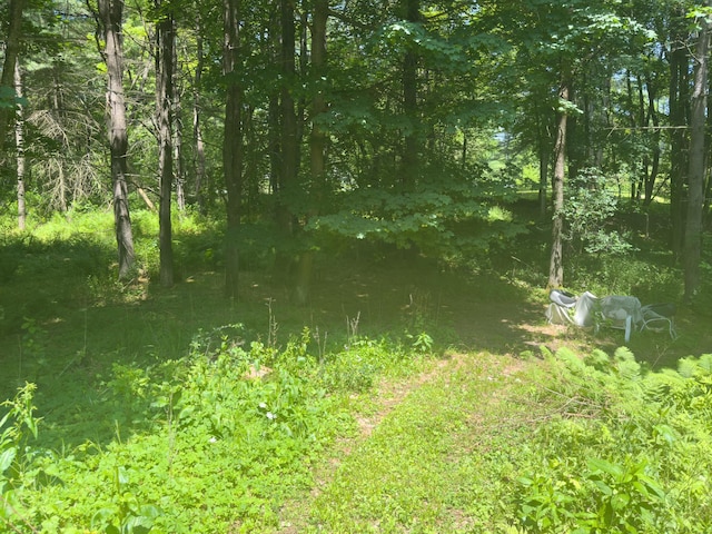 1 Wyeth Farm Cir, Lebanon, NH 03784 - view of tree filled area