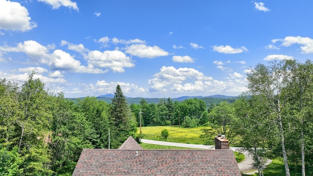 490 W Hill Rd, Ludlow, VT 05149 - mountain view featuring a heavily wooded area