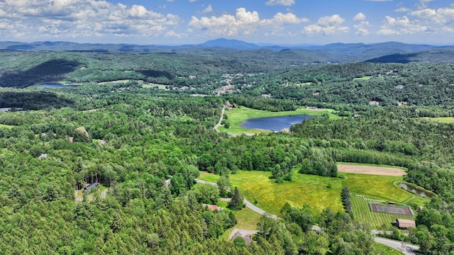 490 W Hill Rd, Ludlow, VT 05149 - bird's eye view of a water and mountain view and a forest