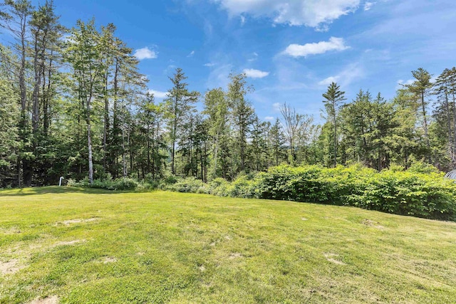 116 Sullivan Center Rd, Gilsum, NH 03448 - view of green lawn