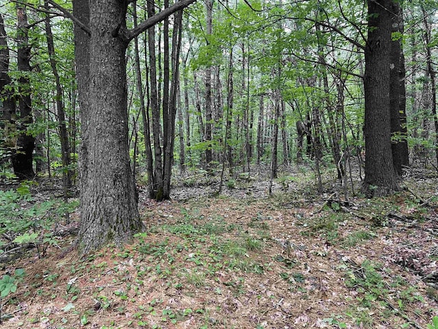 0 Carpenter Hill Rd, Walpole, NH 03436