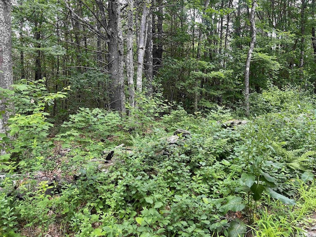 0 Carpenter Hill Rd, Walpole, NH 03436