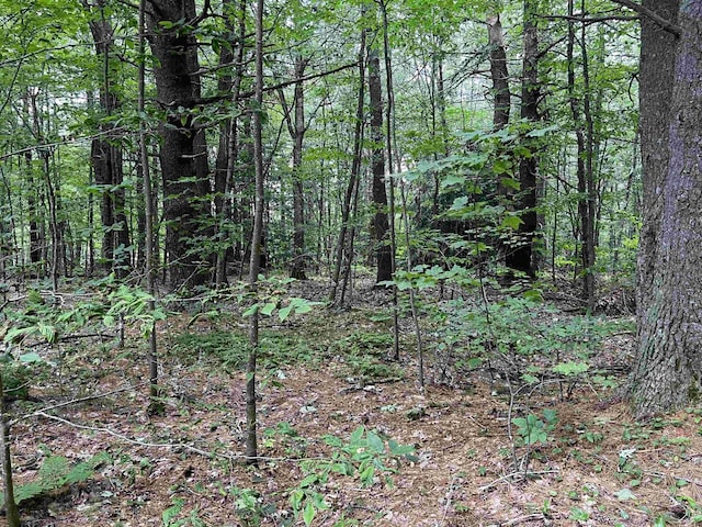 0 Carpenter Hill Rd, Walpole, NH 03436