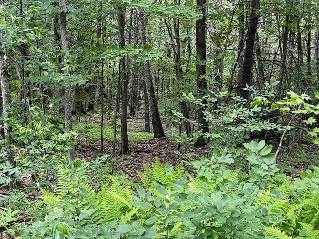 0 Carpenter Hill Rd, Walpole, NH 03436