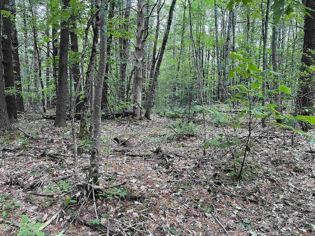 0 Carpenter Hill Rd, Walpole, NH 03436