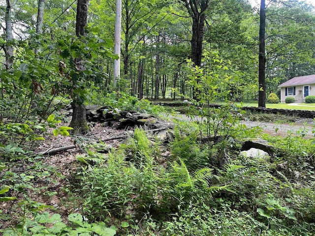 0 Carpenter Hill Rd, Walpole, NH 03436
