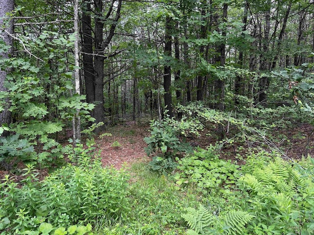 0 Carpenter Hill Rd, Walpole, NH 03436