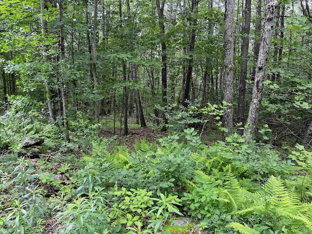 0 Carpenter Hill Rd, Walpole, NH 03436