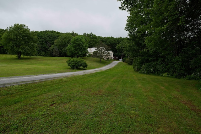 1061 Suncook Valley Rd, Barnstead, NH 03225 - view of green lawn featuring a forest view
