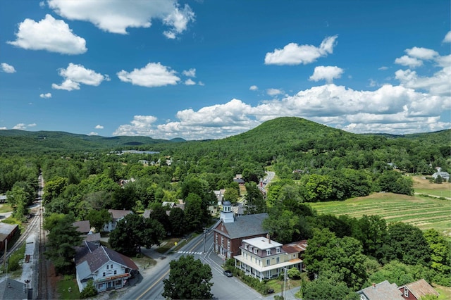 534 Elm St, Chester, VT 05143