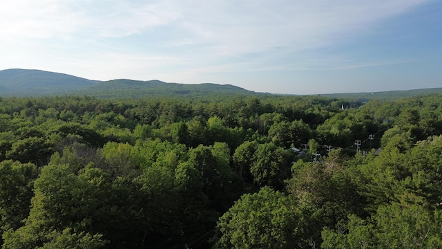 46-2 Rte 153, Middleton, NH 03887